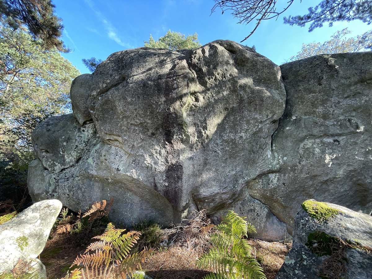 La Rescapée – Cuvier Rempart