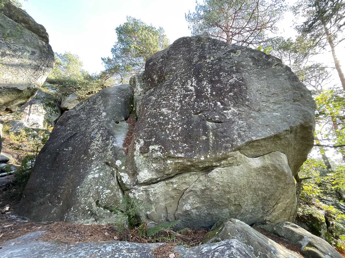 Le Grand Mur – Cuvier Rempart