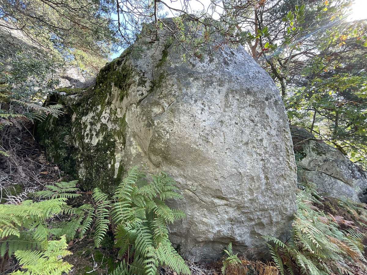 Caracolade – Cuvier Rempart