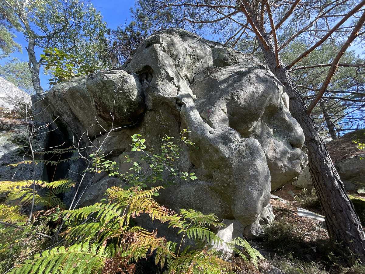 L'Arête du Z – Cuvier Rempart