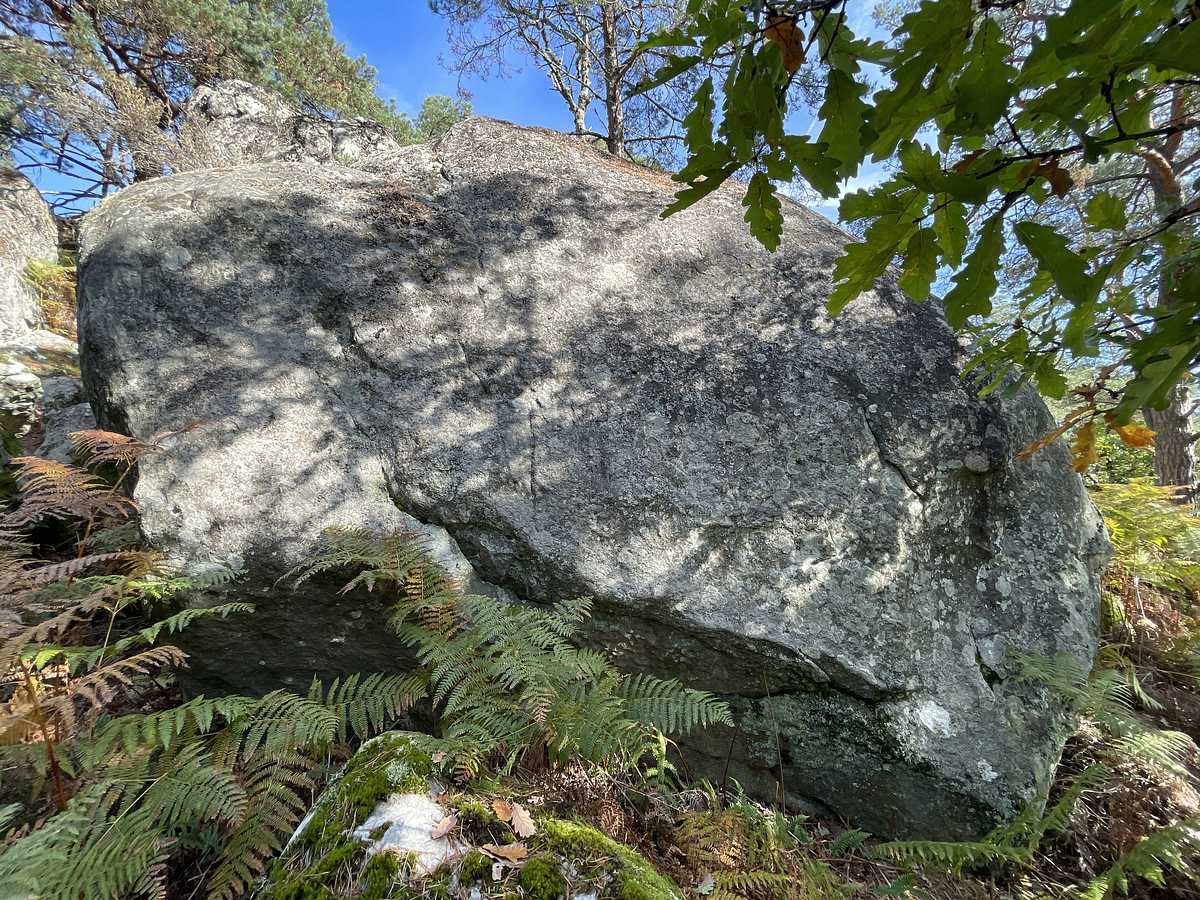 Tacotac – Cuvier Rempart