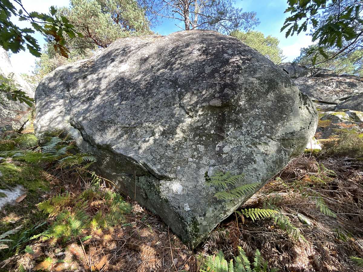 L'Arête aux Lichens – Cuvier Rempart