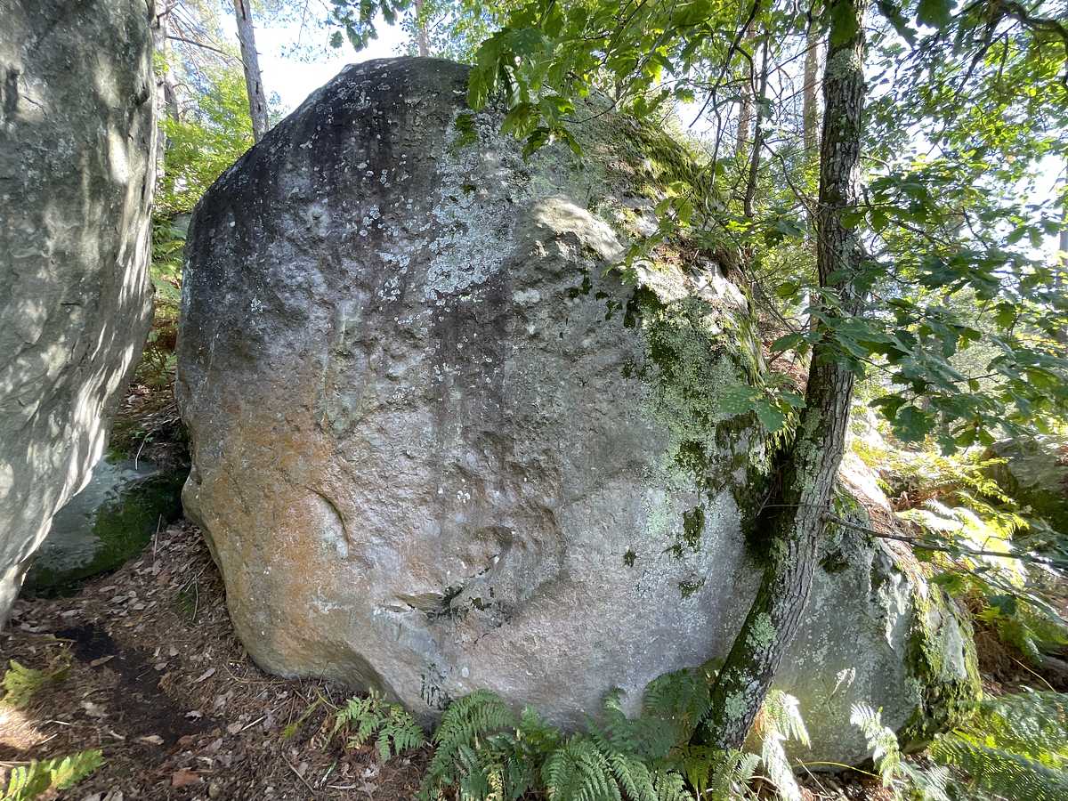 Belle Rondeur – Cuvier Rempart