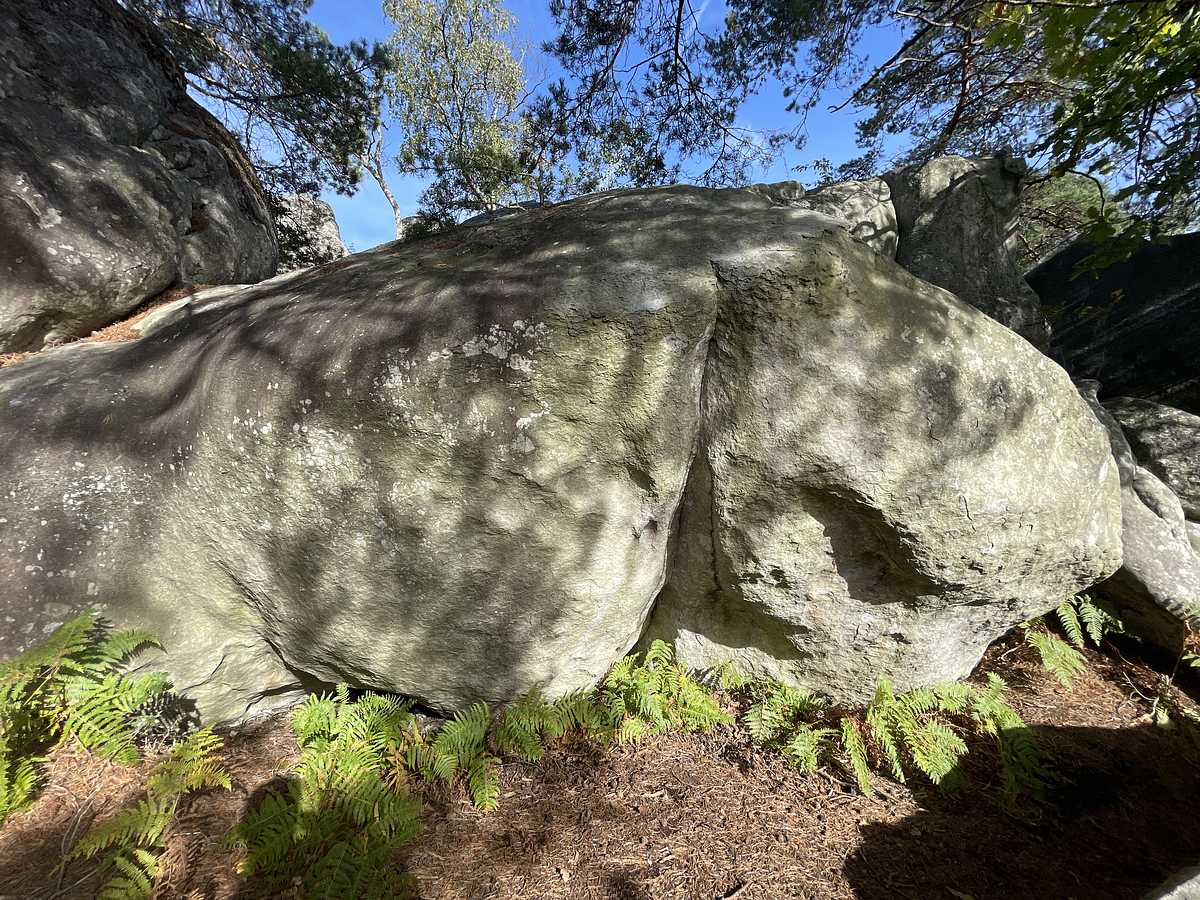 Ridicule – Cuvier Rempart