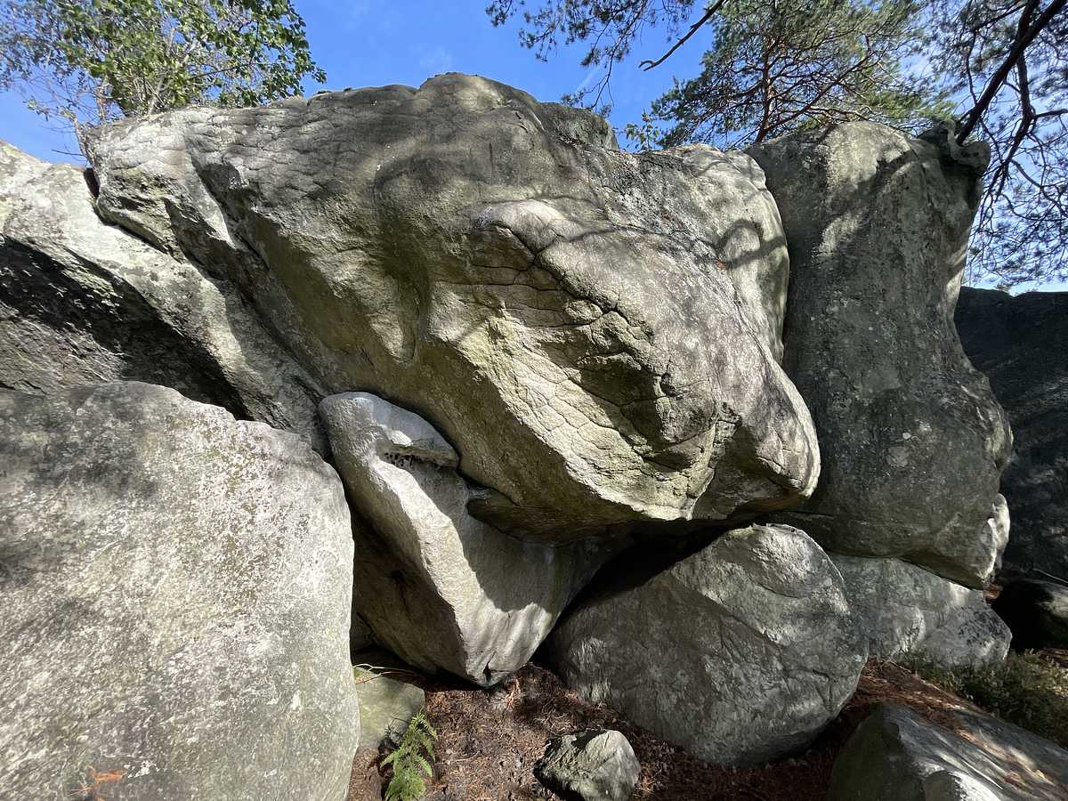 Le Tractopelle – Cuvier Rempart