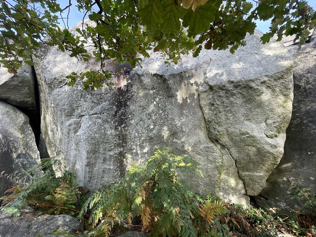 L'Anglouton – Cuvier Rempart