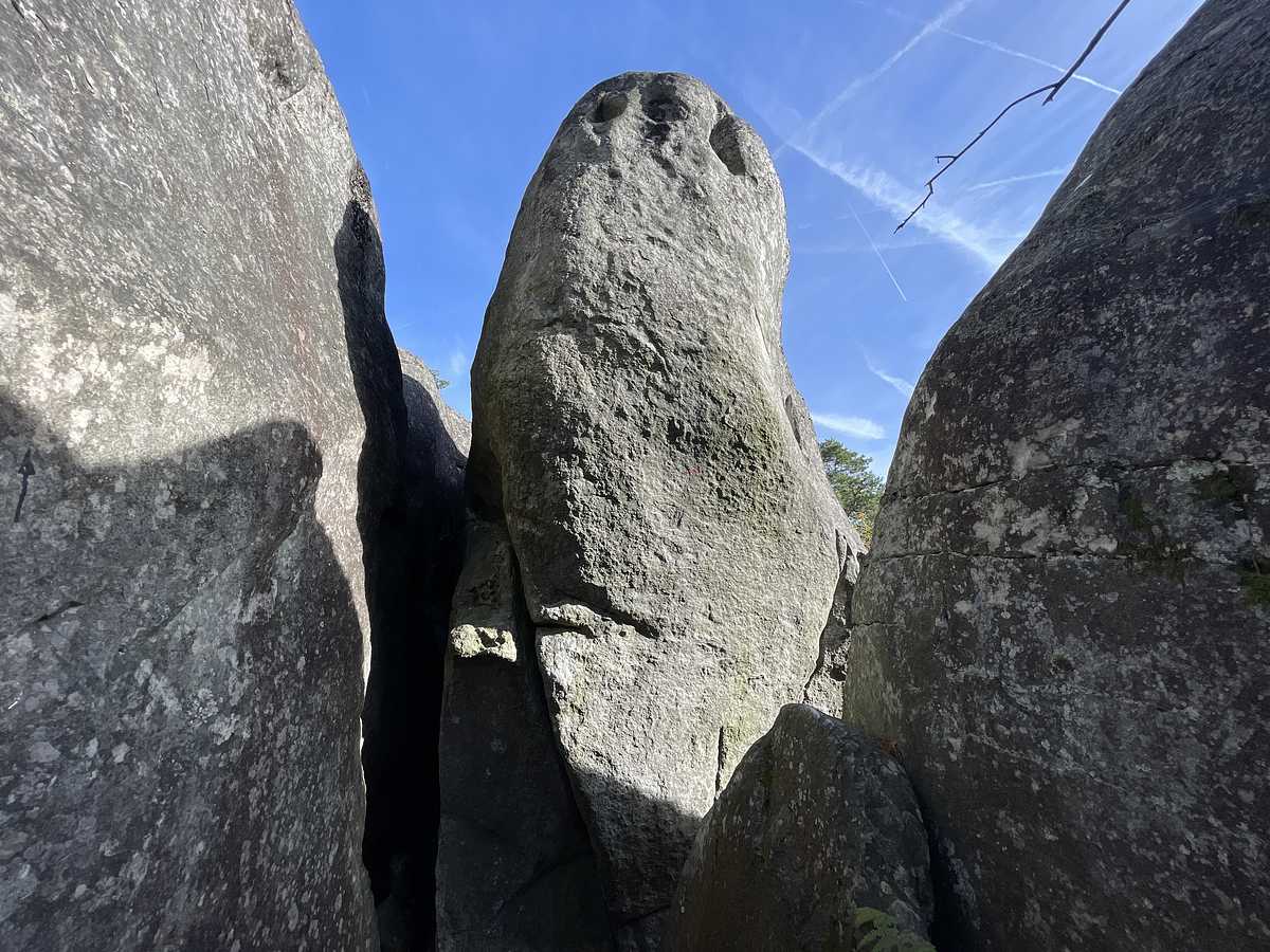 Machu Picchu – Cuvier Rempart