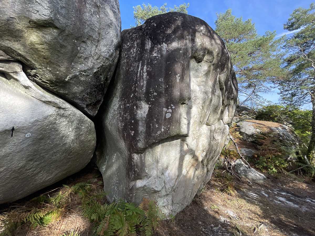 Tif et Tondu – Secteur Cuvier Rempart