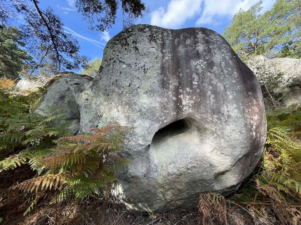 Sous le Volcan – Cuvier Rempart