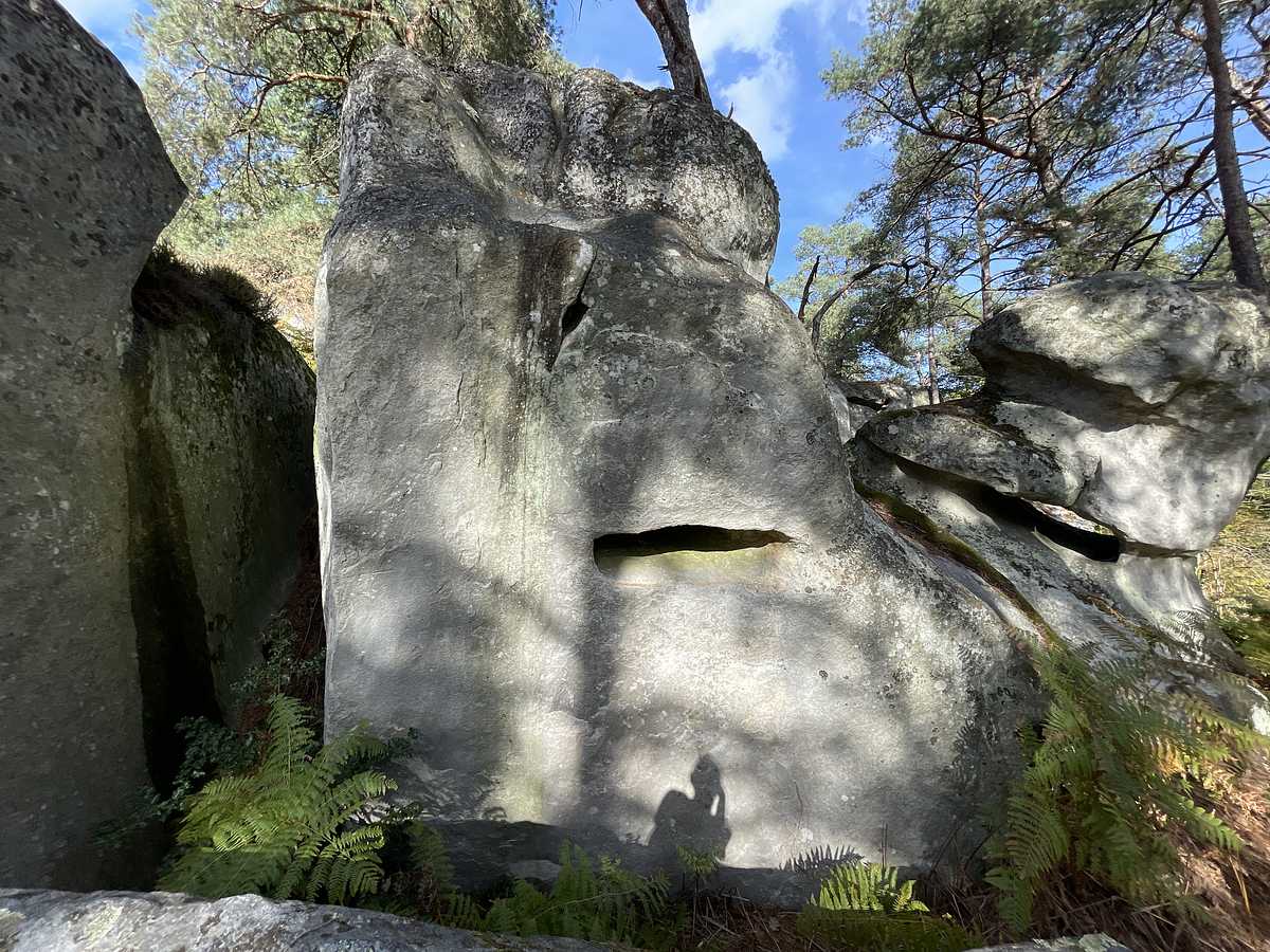 Le Château d'If – Cuvier Rempart