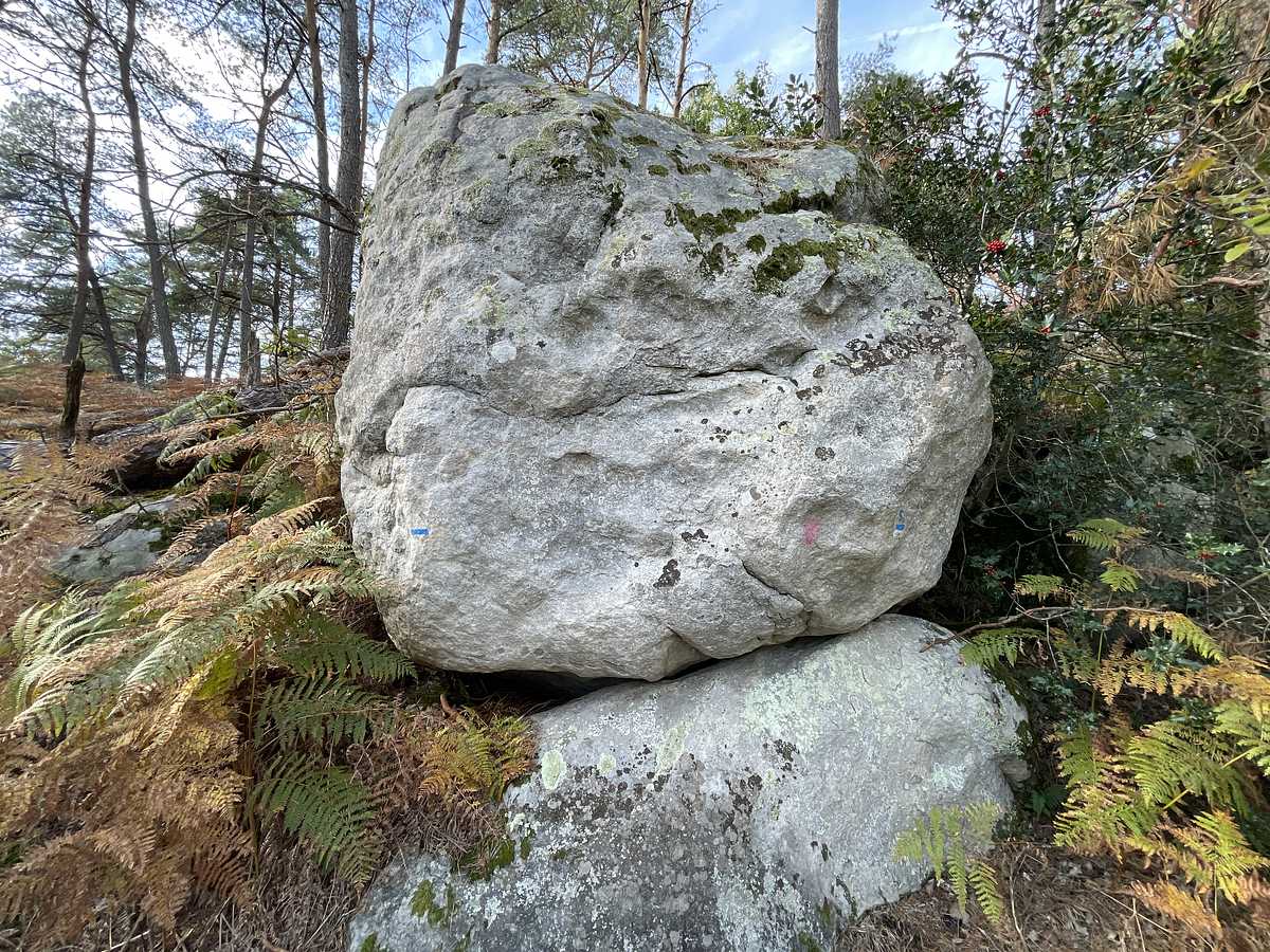 La Sentinelle – Cuvier Rempart