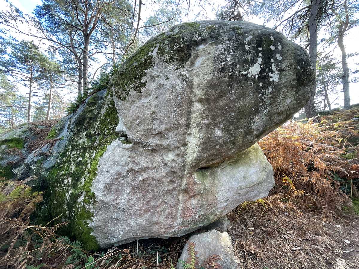 Giboulée – Cuvier Rempart