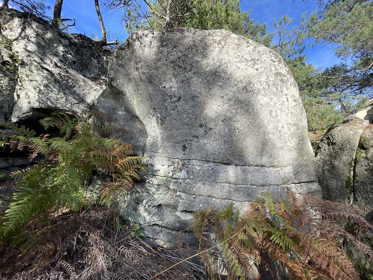 Tête à Claques – Cuvier Rempart