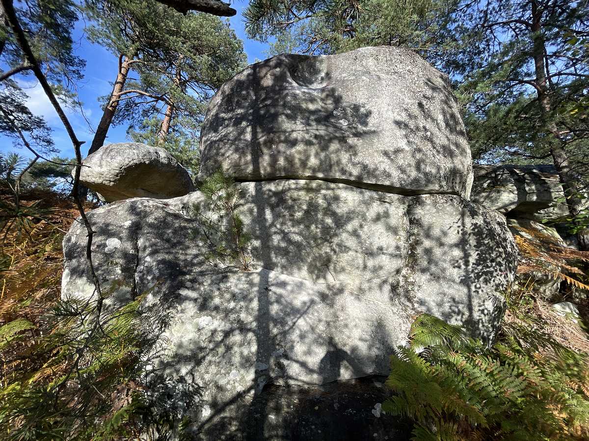 L'Offrande – Cuvier Rempart