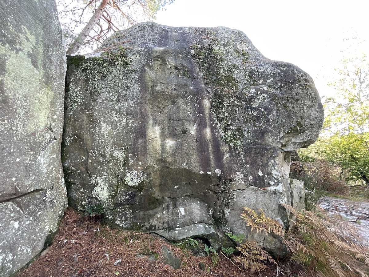 L'Émeraude – Cuvier Rempart