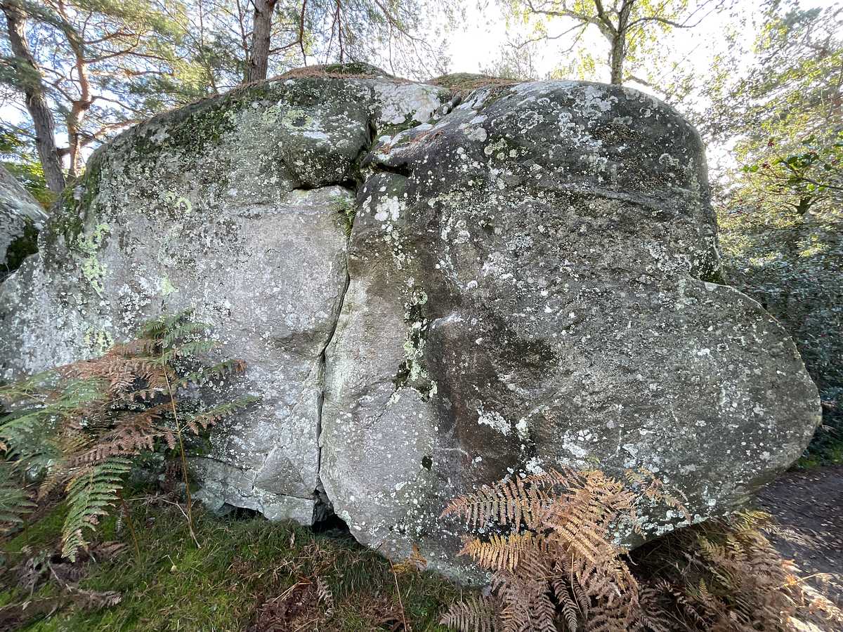 La Boule de Soumission – Cuvier Rempart