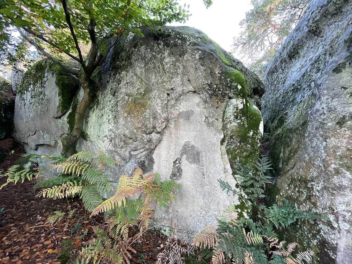 Sensible à la Gâchette – Cuvier Rempart