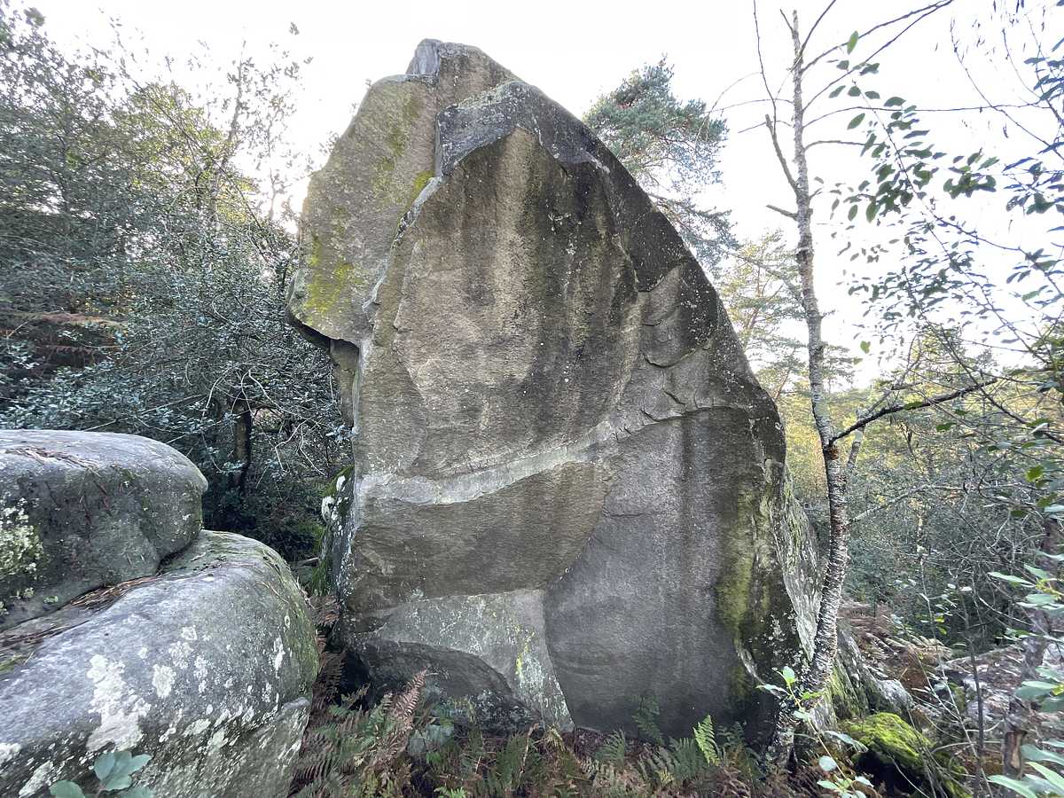 La Double Arête – Cuvier Rempart