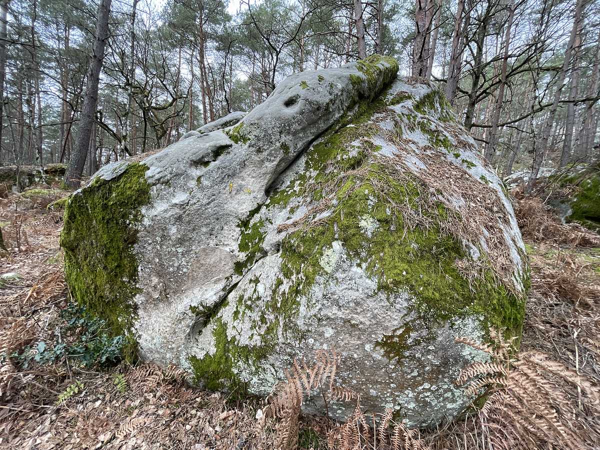 La Petite Montagne – Mont Aigu