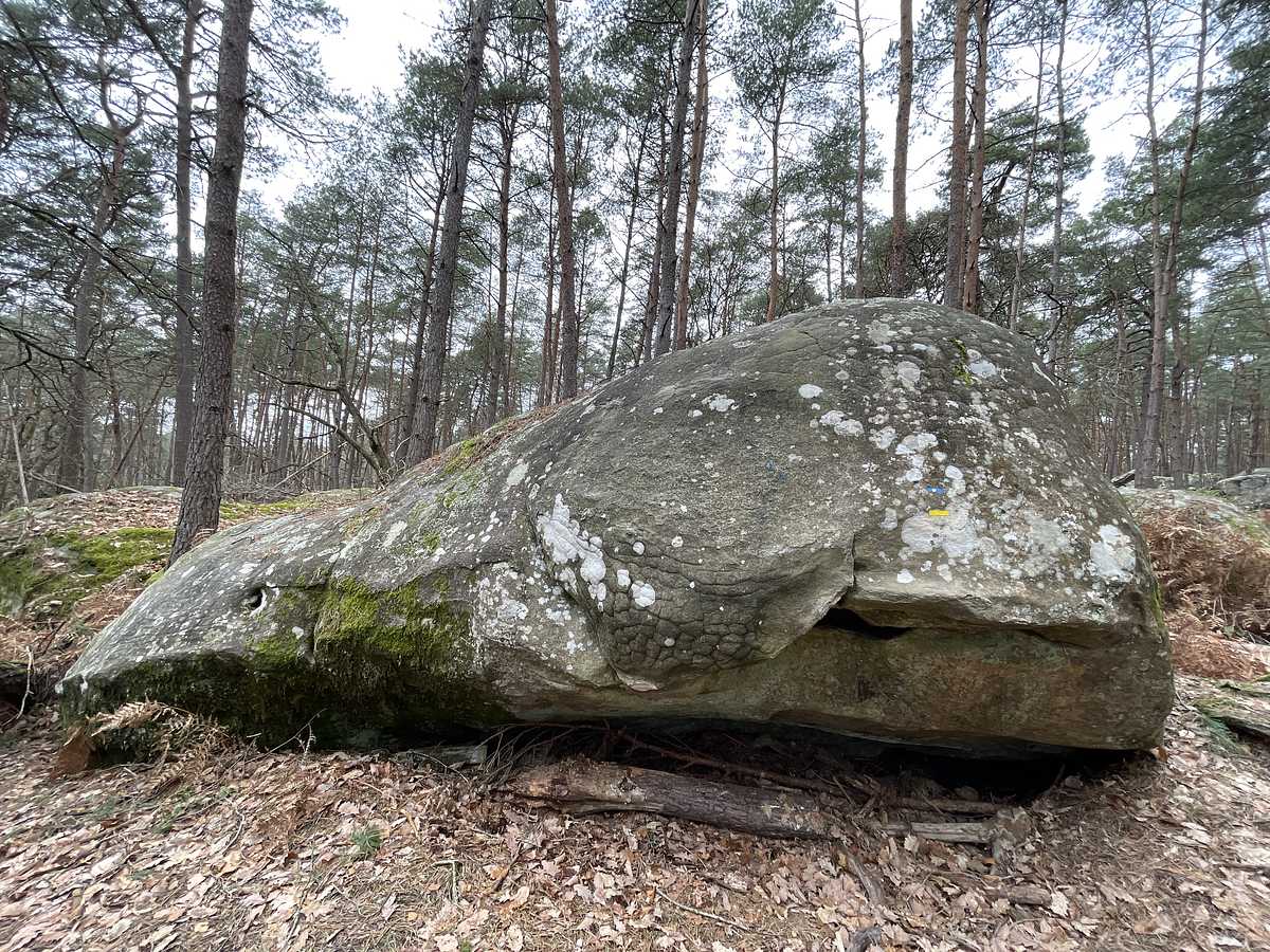 La Bouboule – Mont Aigu