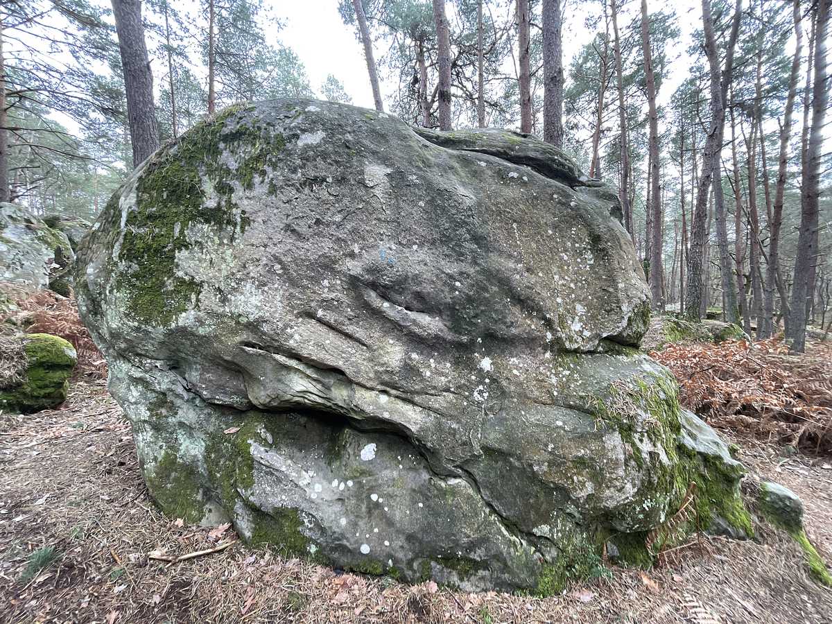 La Courte Fine – Mont Aigu