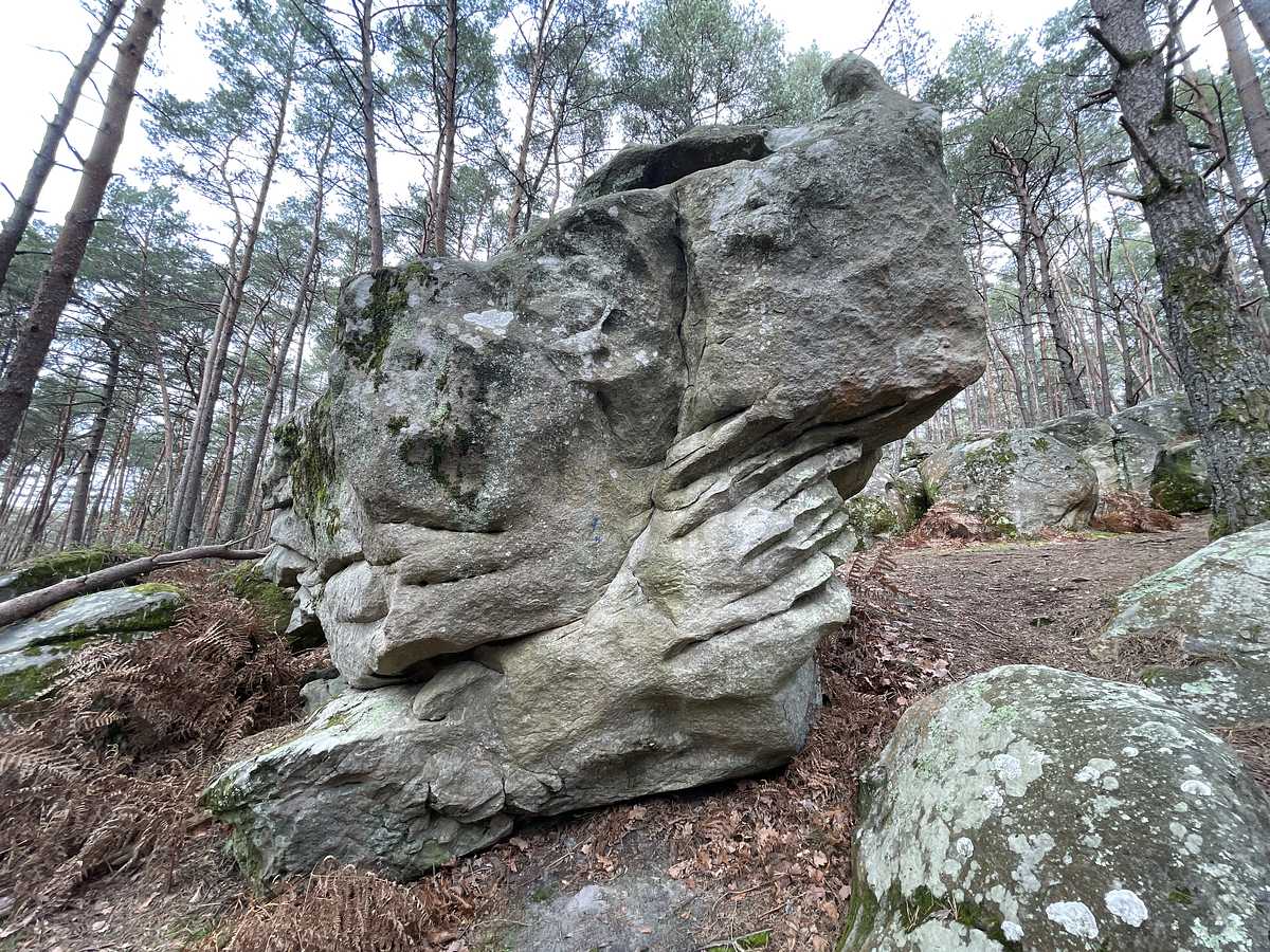 Les Marches Glissantes – Mont Aigu