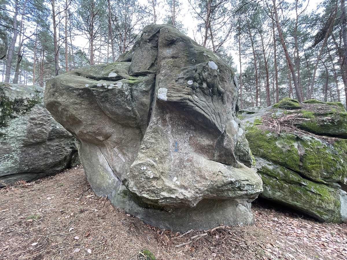 L'Océanique – Secteur Mont Aigu