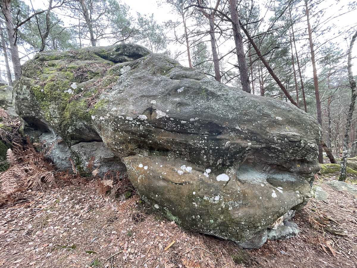 Le Réta d'Extrême Droite – Mont Aigu