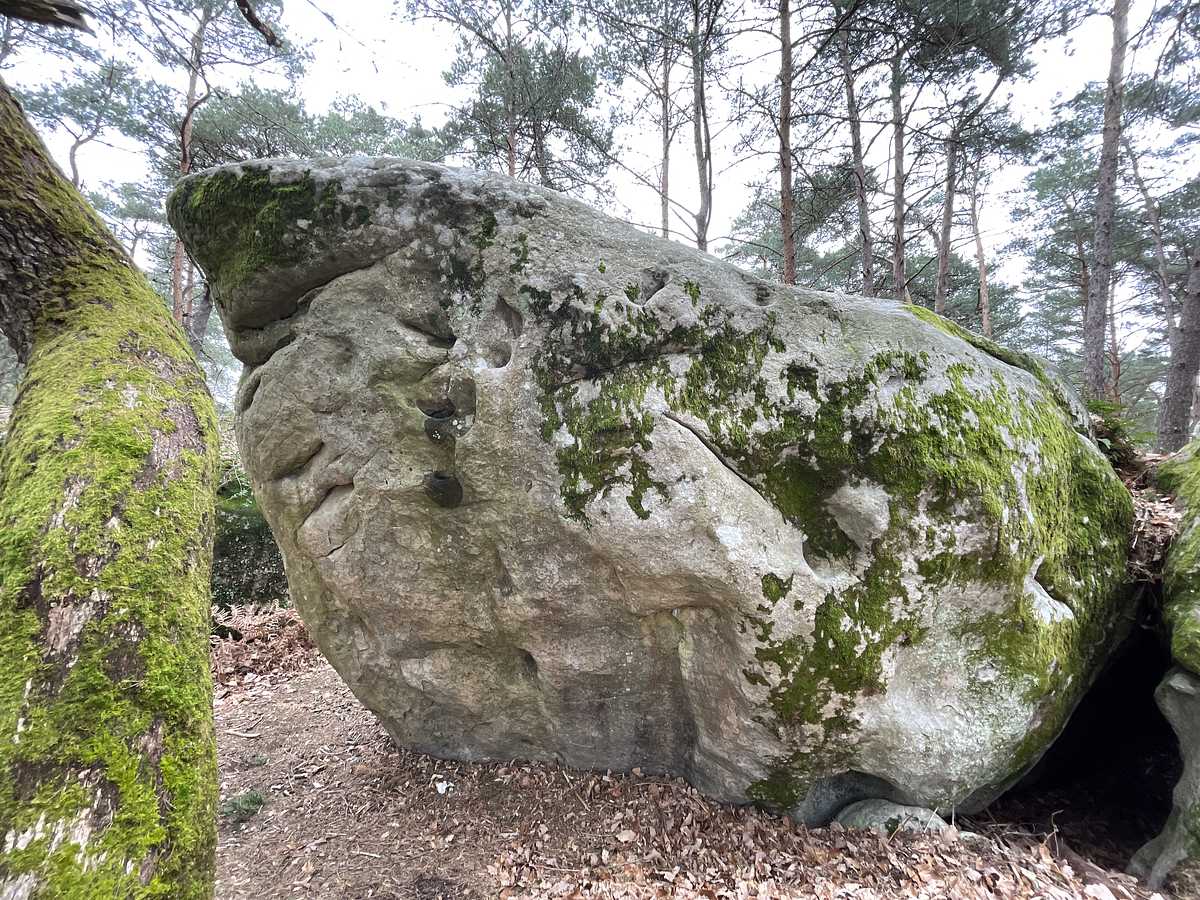 Teetotak (assis) – Mont Aigu