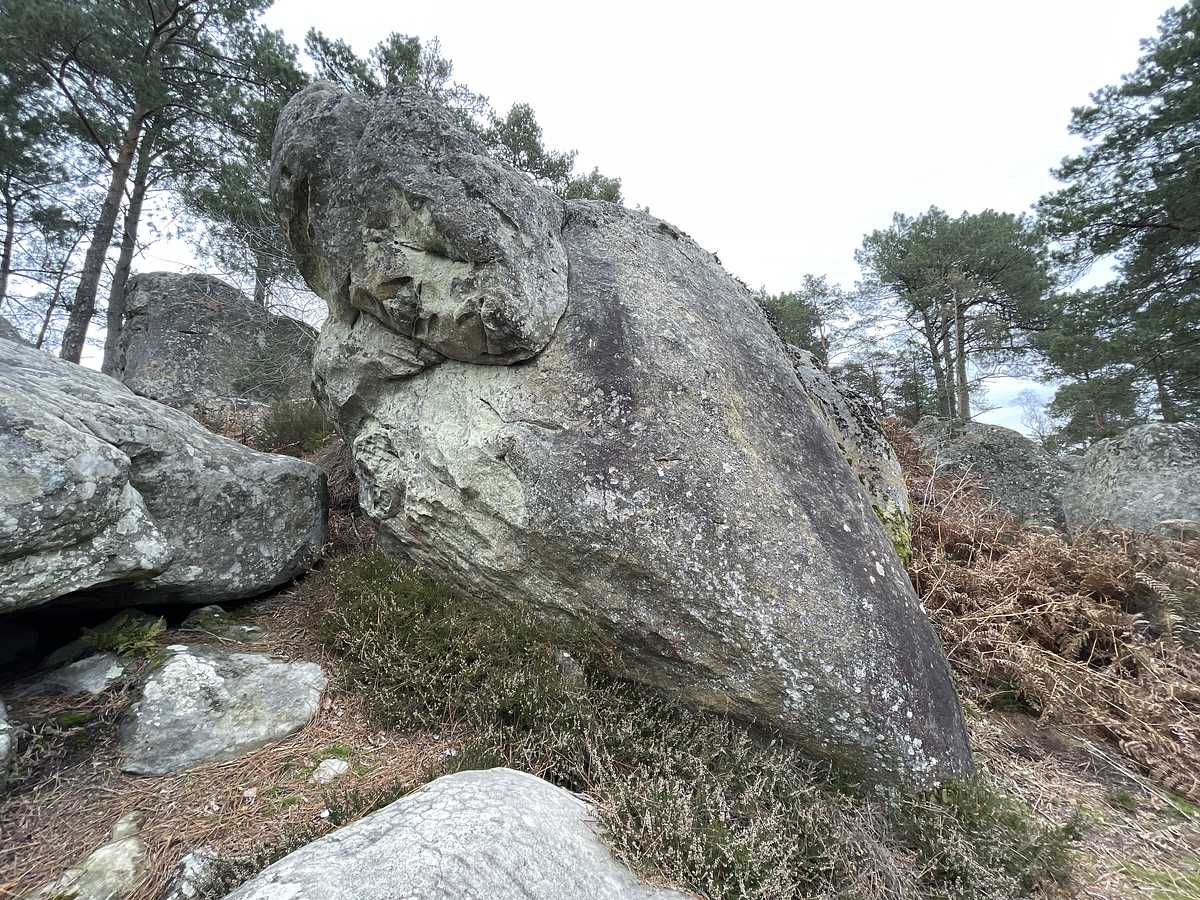 La Gomme Résignée – Mont Aigu