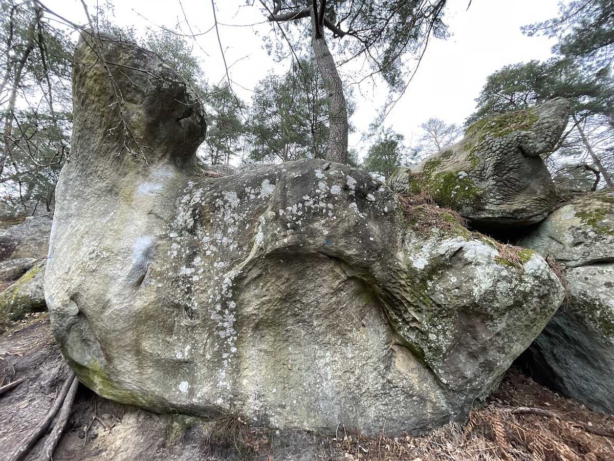 La Bêtise – Mont Aigu