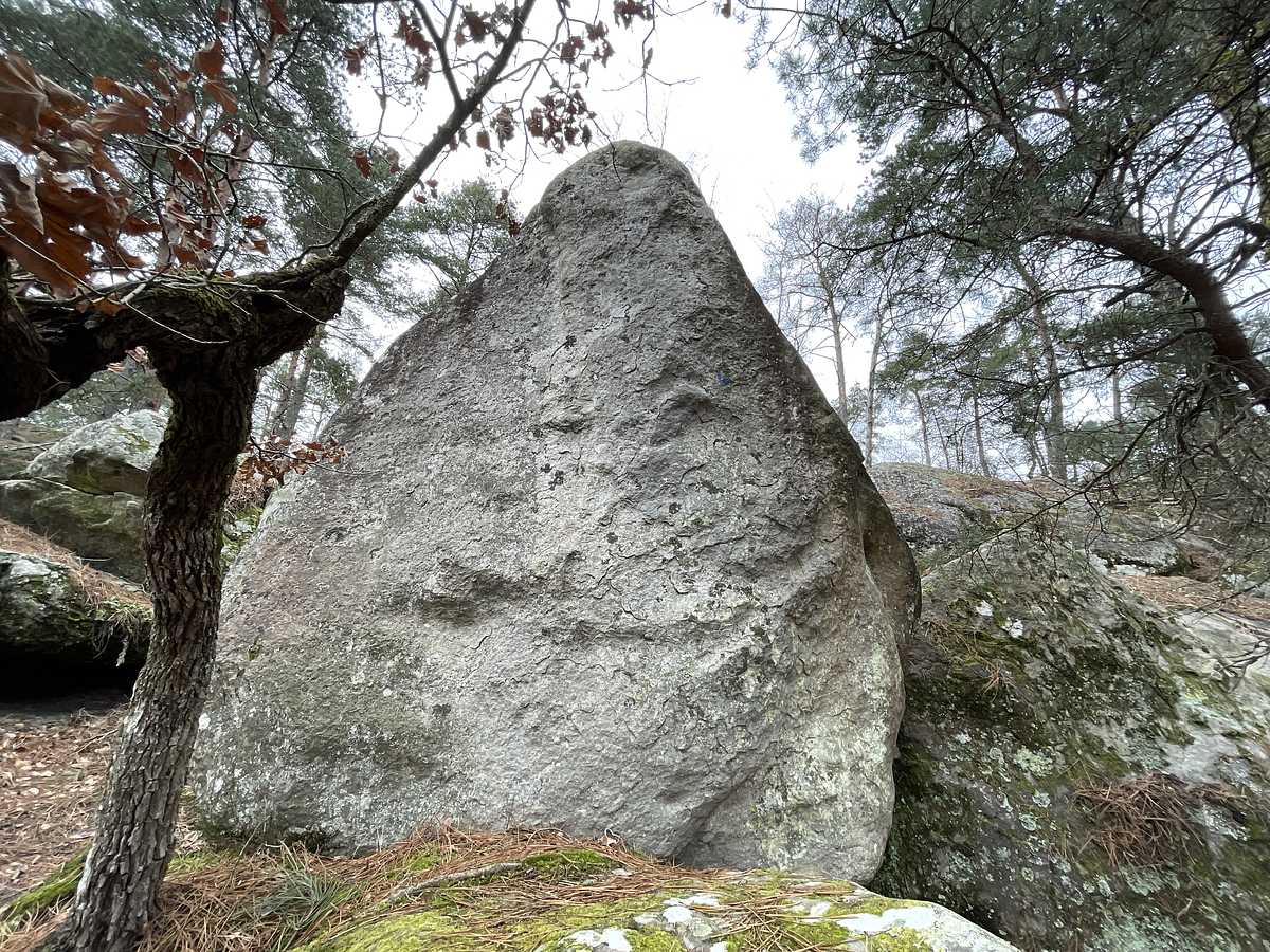 L'Arête de l'Arbre – Mont Aigu