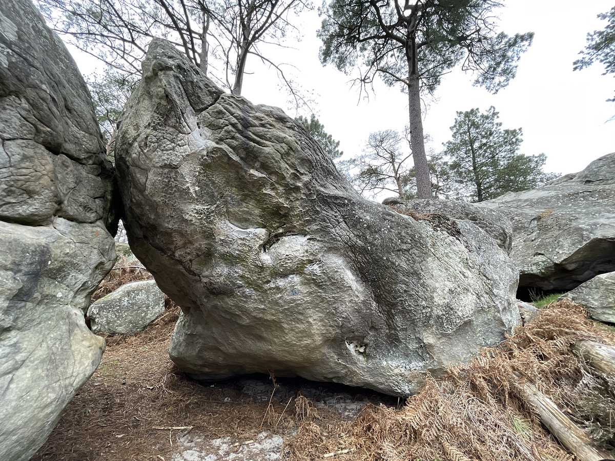 Le Phallocrate – Mont Aigu