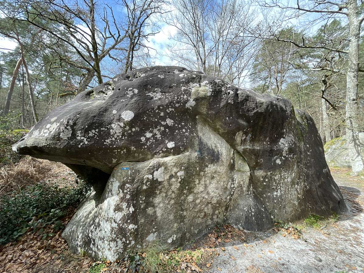 La Réuni – Secteur Mont Aigu