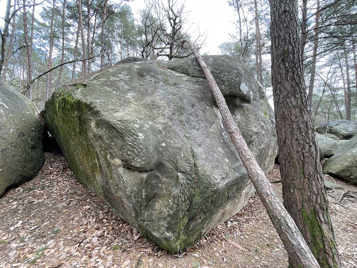 L'Angle Arrondi – Mont Aigu