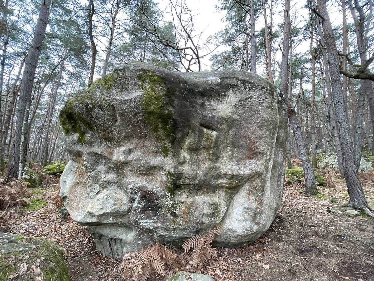 Merci Nature – Secteur Mont Aigu