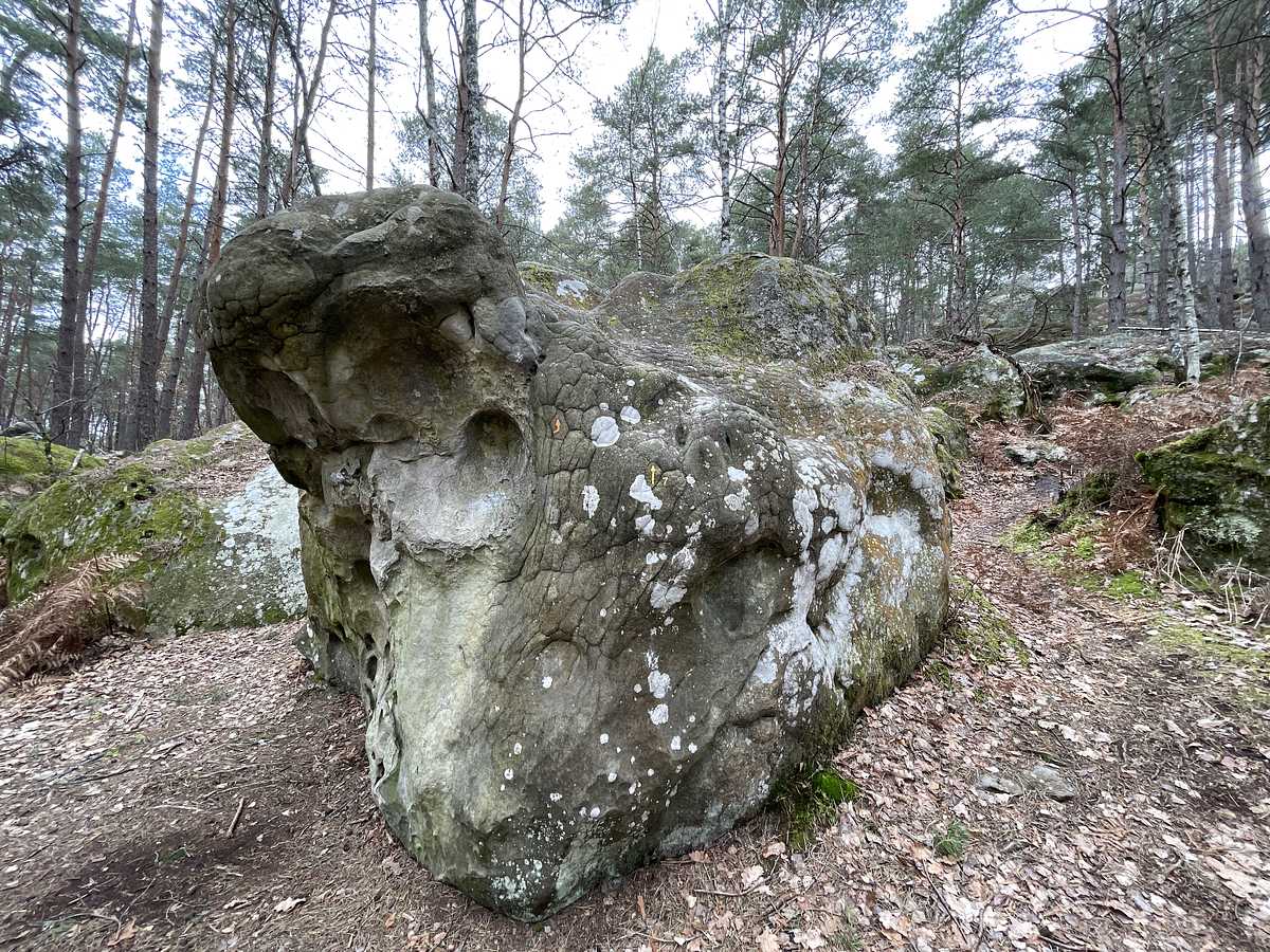 L'Évitation – Mont Aigu