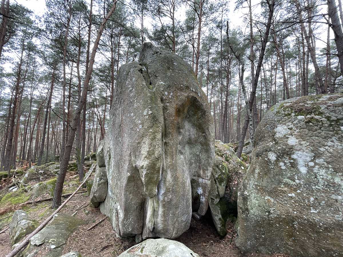 Cérébral Park – Secteur Mont Aigu