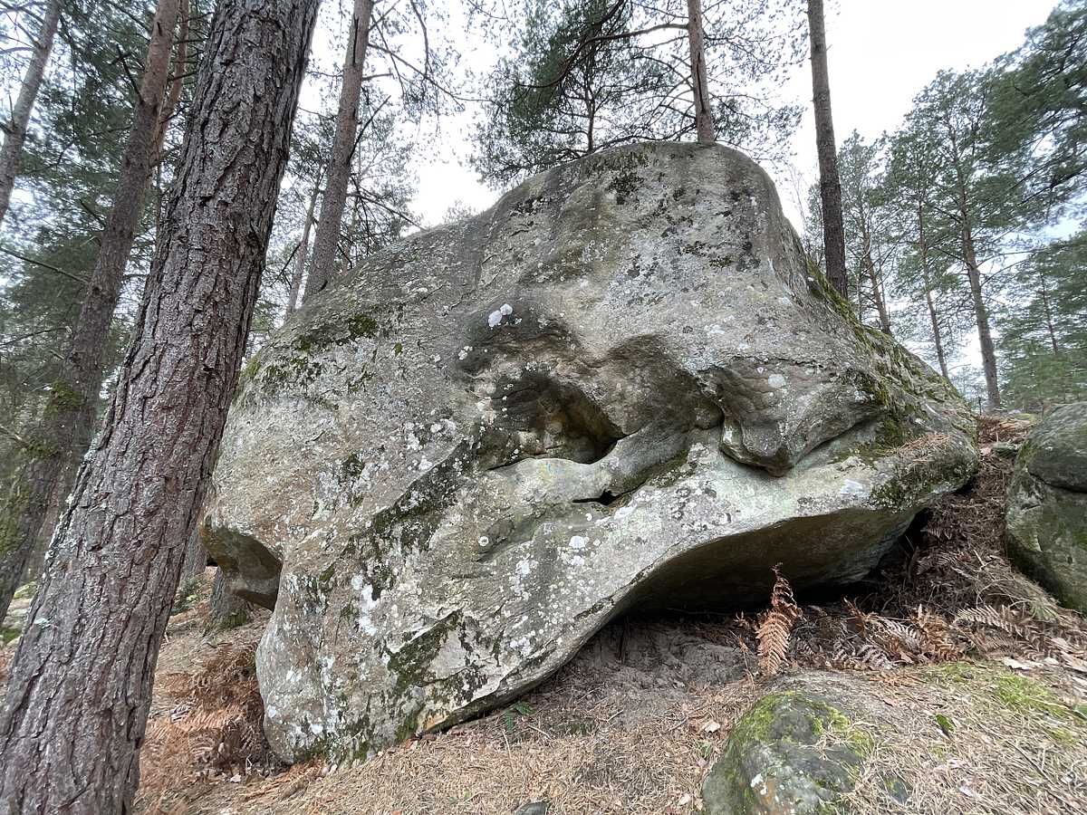La Lévogyre – Mont Aigu