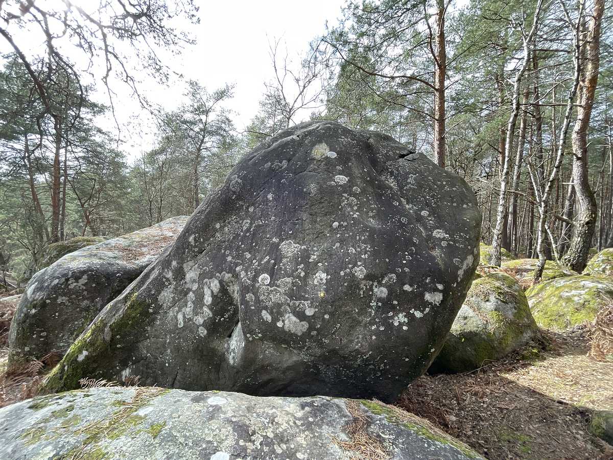 La Galanterie – Mont Aigu