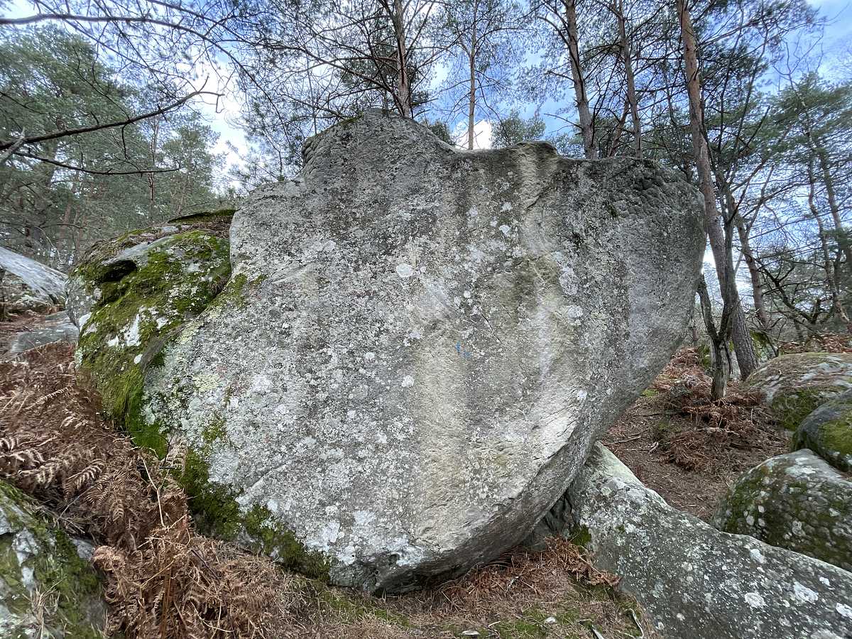 Problème de Taille – Mont Aigu
