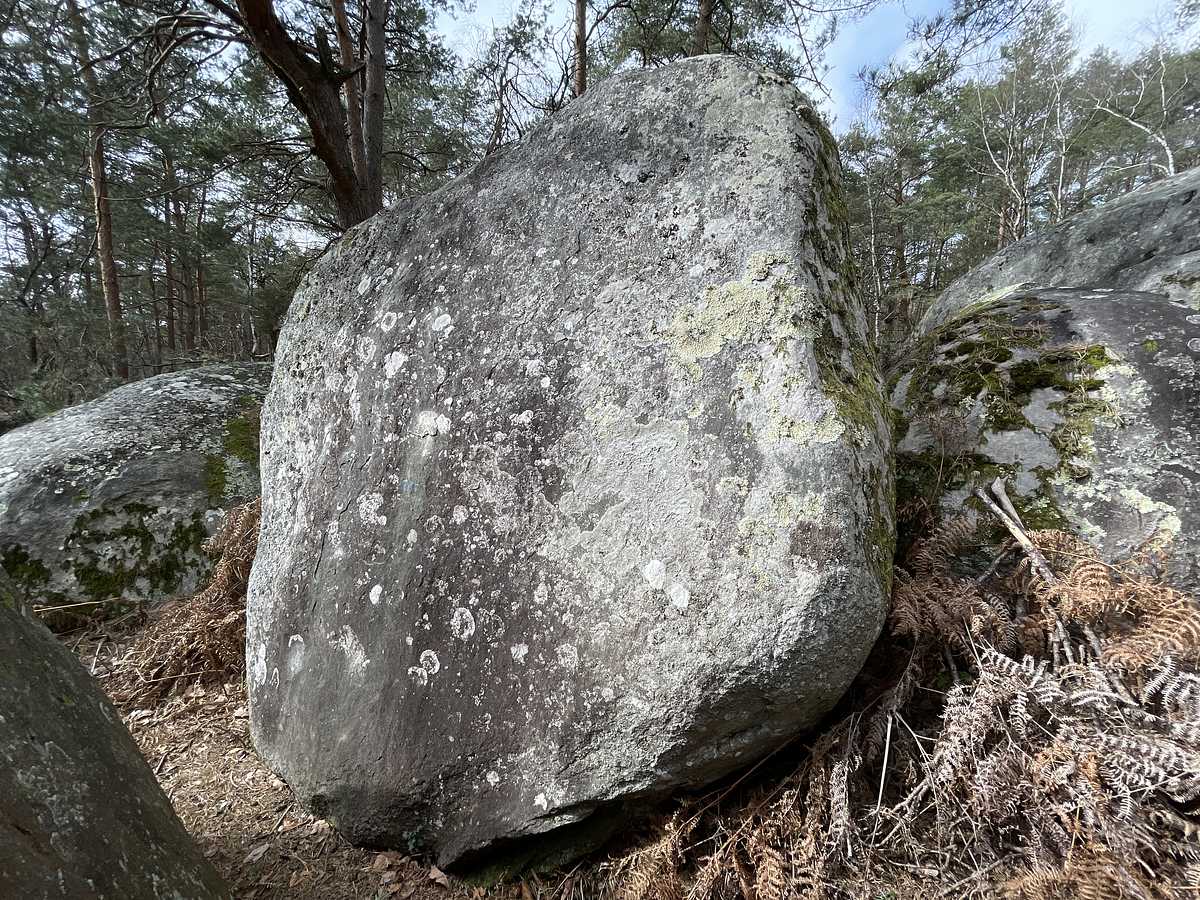 La Dallamite Phalloïde – Mont Aigu