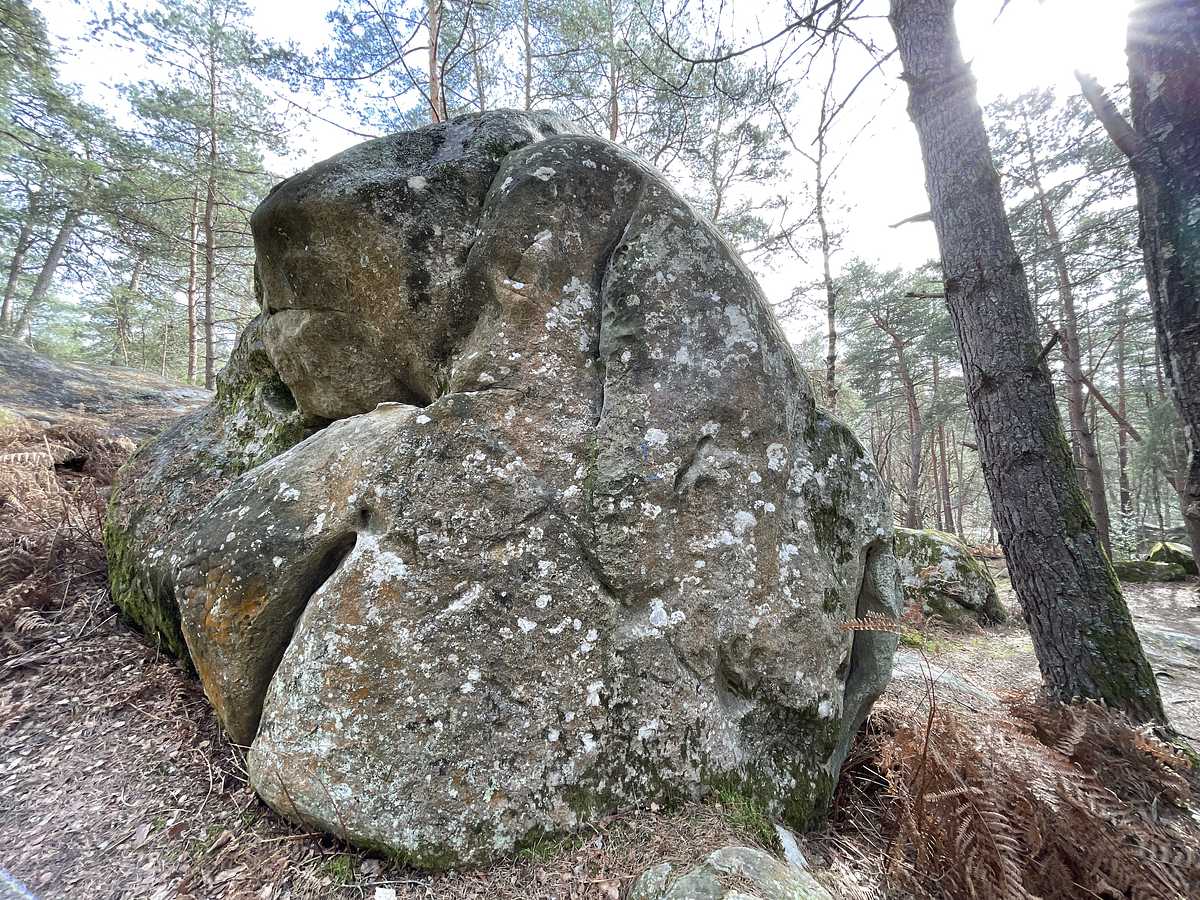 La Plaque de Côté – Mont Aigu