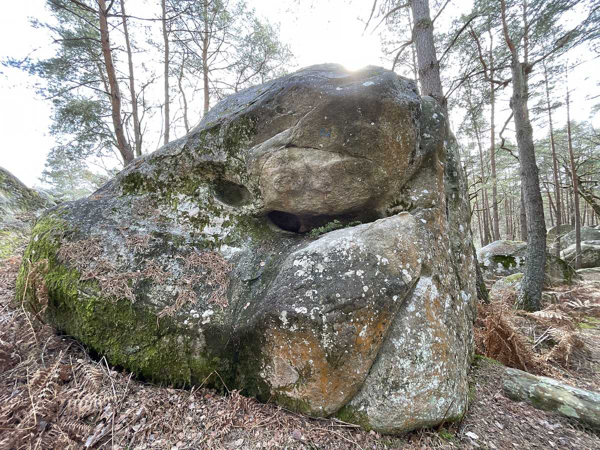 La Toile Cirée – Mont Aigu