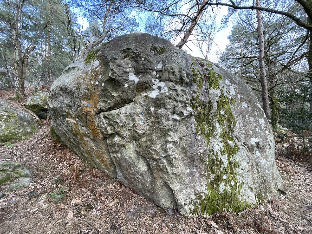 La Farfelue – Mont Aigu