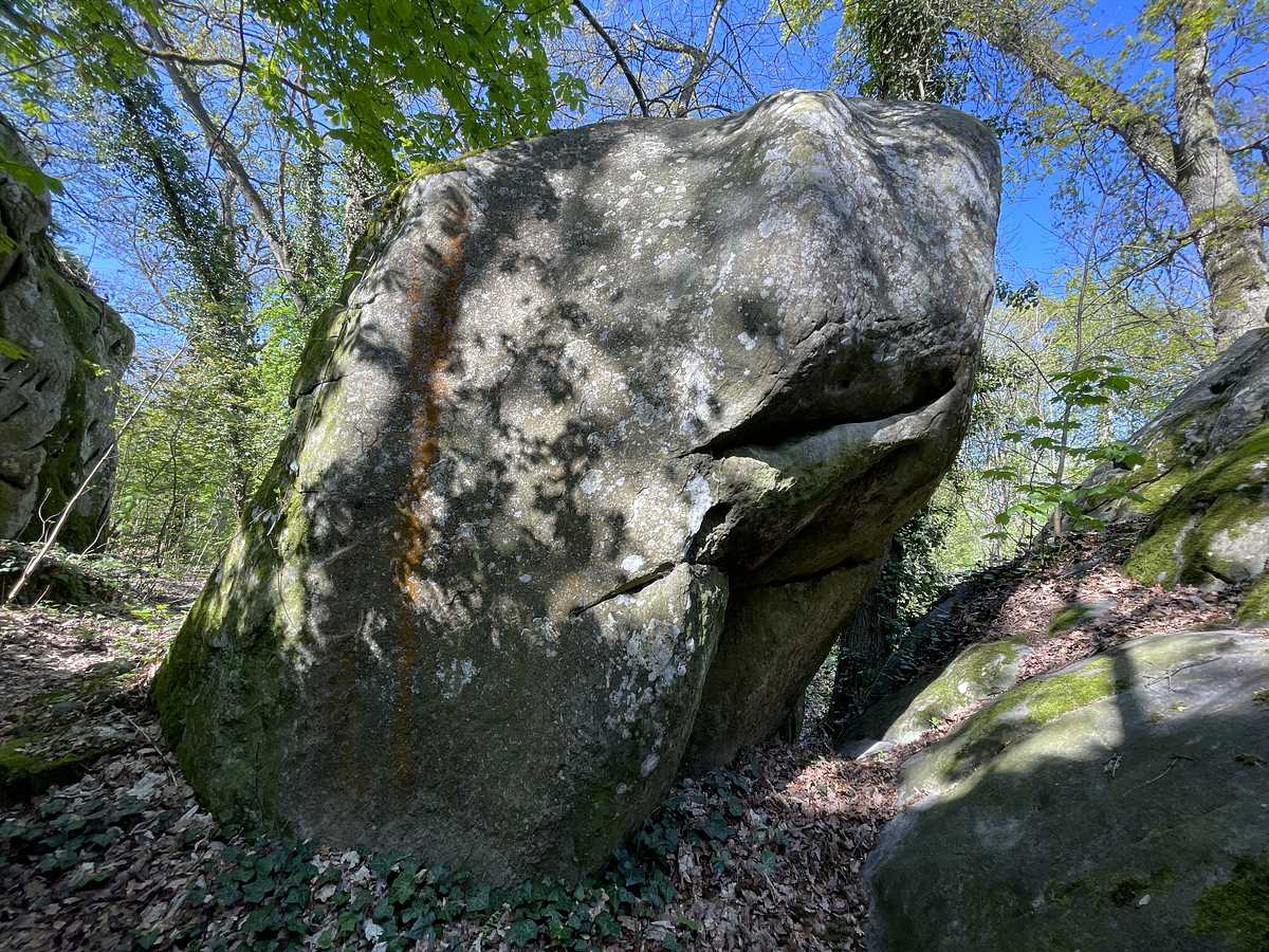 Rappelle toi Minette – Rocher Gréau